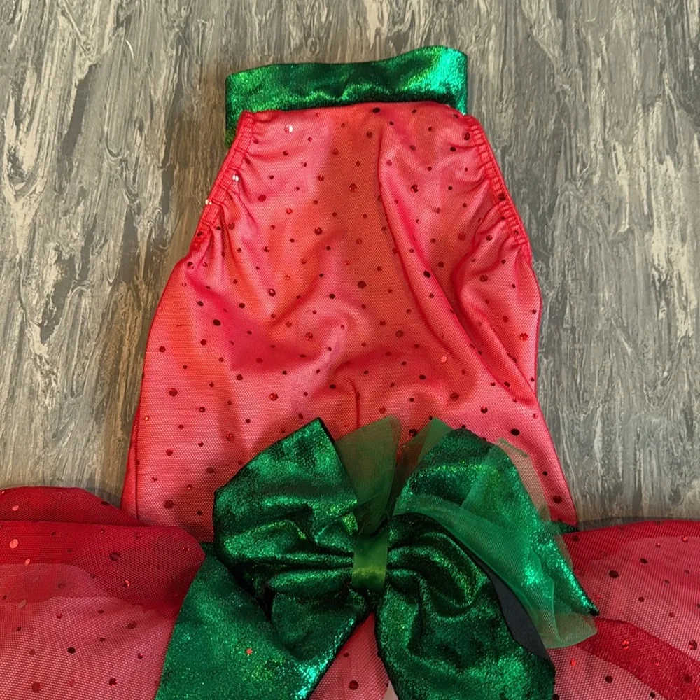 Cicci Dance Costume Leotard Tutu Ballet